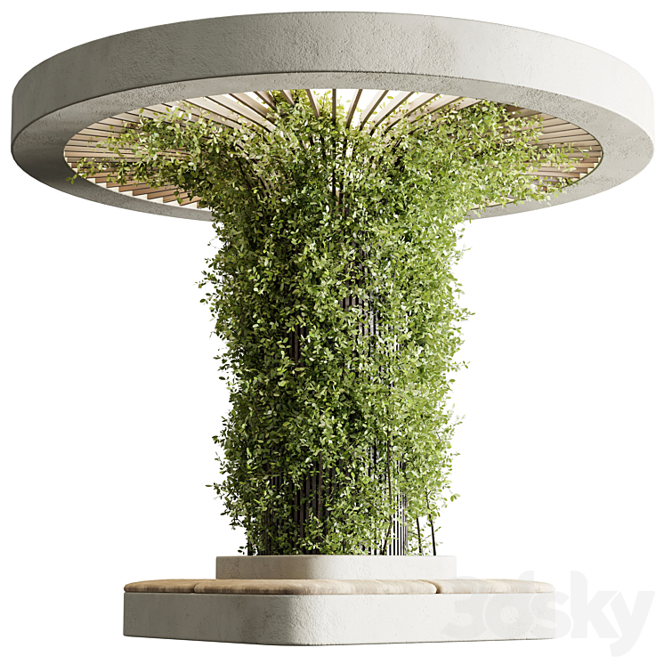 Column plant - pillar plant - column garden ivy 12 - Other decorative ...