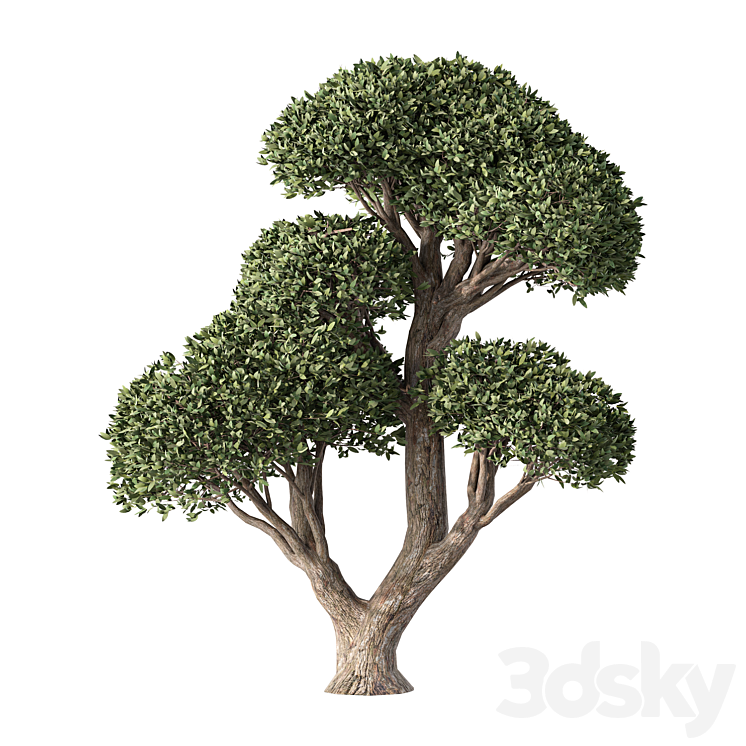 Tree Set.197 - Tree - 3D model