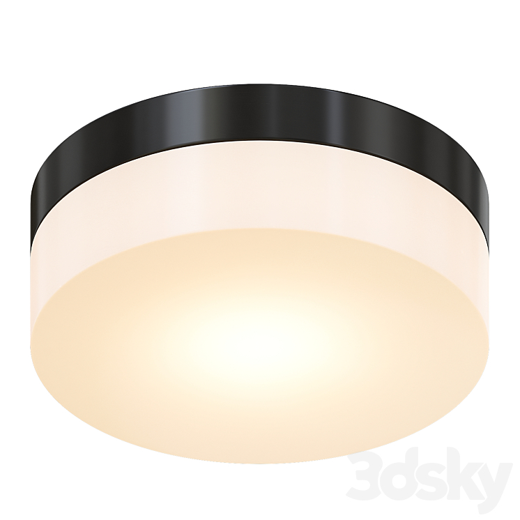 Arte Lamp Aqua-Tablet A6047PL-2BK - Ceiling lamp - 3D model
