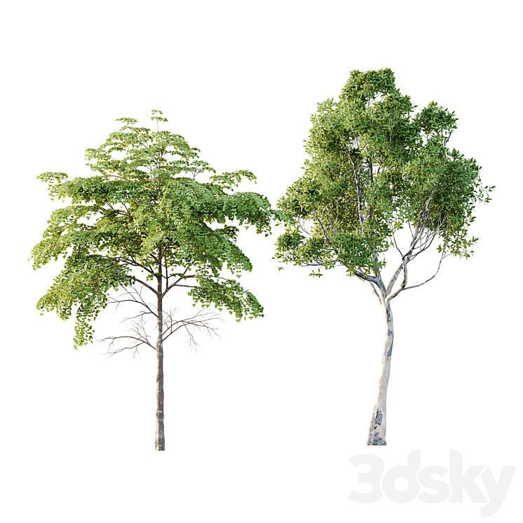 Different Trees 22 - Tree - 3D model