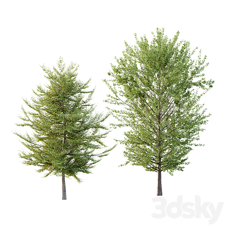 Different Trees 36 - Tree - 3D model