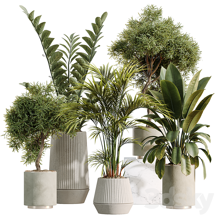 AV Indoor Plants Set 498 Cat Reed Palm and Ficus Elastica and Chemlali ...