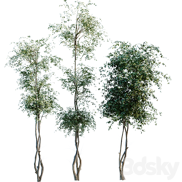 Lowpoly Tree Set 906 - Tree - 3D model