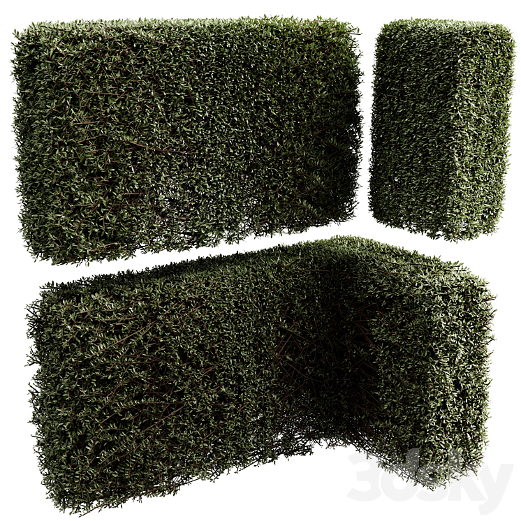 Hedge Cubic and Rectangle Topiary Bush - Bush Set 13 corona - Bush - 3D ...